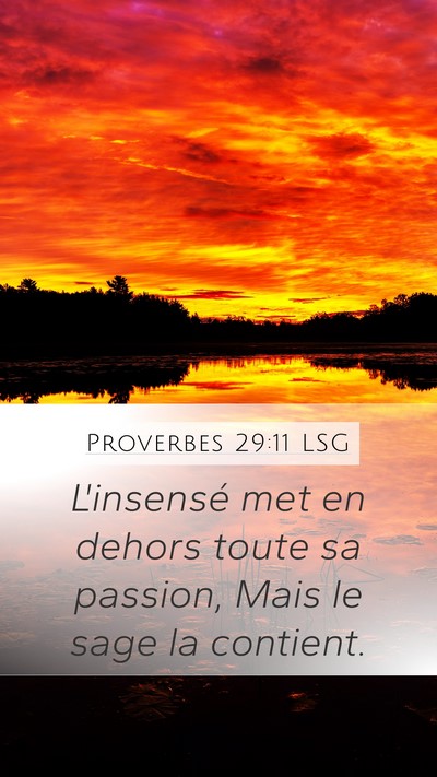 Proverbes 29:11 LSG Bible Verse Image