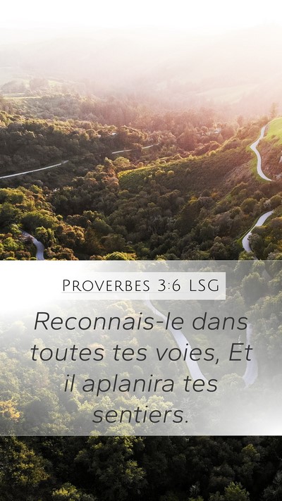 Proverbes 3:6 LSG Bible Verse Image