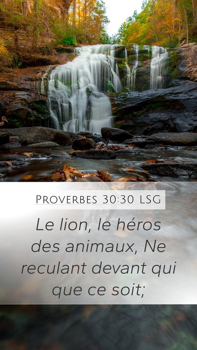 Proverbes 30:30 LSG Bible Verse Image