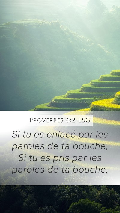 Proverbes 6:2 LSG Bible Verse Image