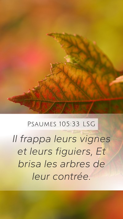 Psaumes 105:33 LSG Bible Verse Image