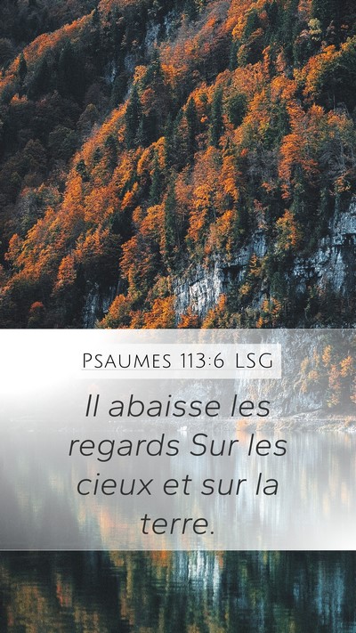 Psaumes 113:6 LSG Mobile Phone Wallpaper - Il abaisse les regards Sur les cieux et sur la - Mobile Bible Verse Wallpaper