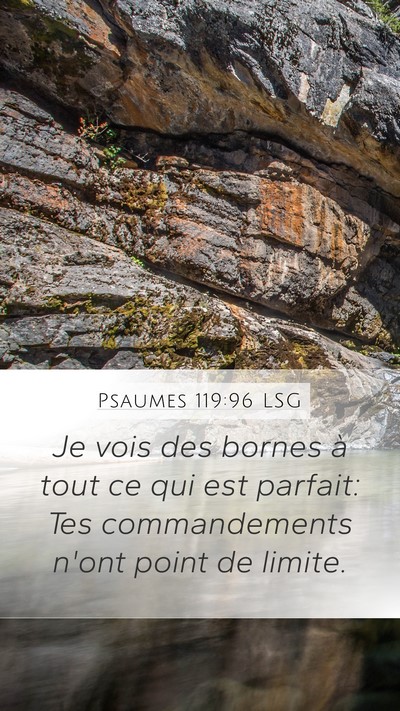 Psaumes 119:96 LSG Bible Verse Image