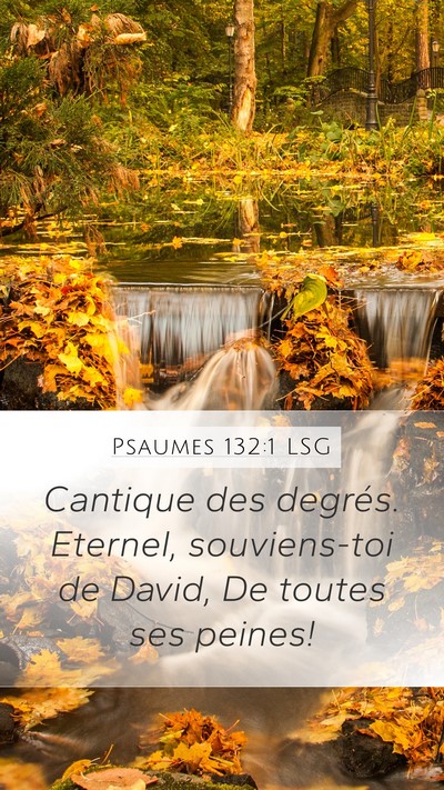 Psaumes 132:1 LSG Mobile Phone Wallpaper - Cantique des degrés. Eternel, souviens-toi de - Mobile Bible Verse Wallpaper