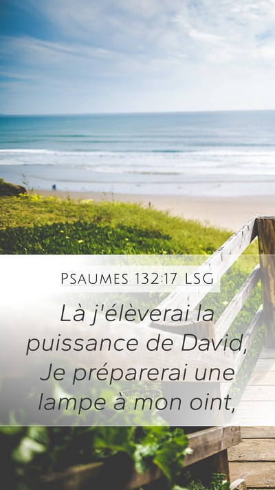 Psaumes 132:17 LSG Mobile Phone Wallpaper - Là j'élèverai la puissance de David, Je - Mobile Bible Verse Wallpaper