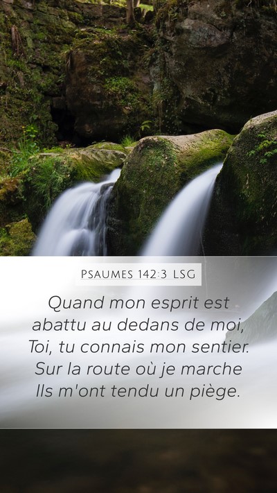 Psaumes 142:3 LSG Bible Verse Image