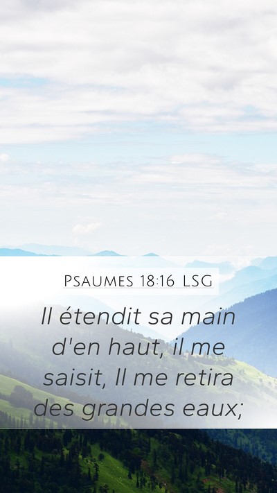 Psaumes 18:16 LSG Bible Verse Image