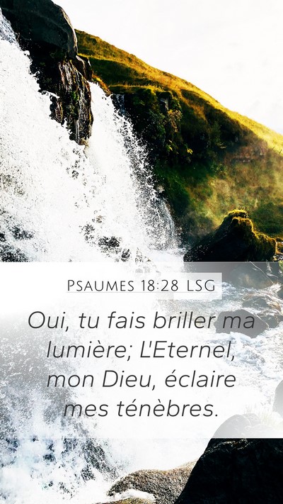 Psaumes 18:28 LSG Bible Verse Image