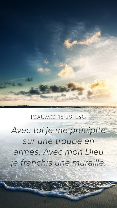Psaumes 18:29 LSG Bible Verse Image