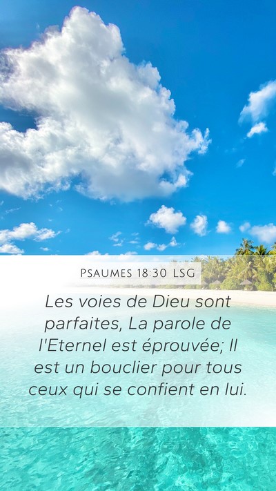 Psaumes 18:30 LSG Bible Verse Image