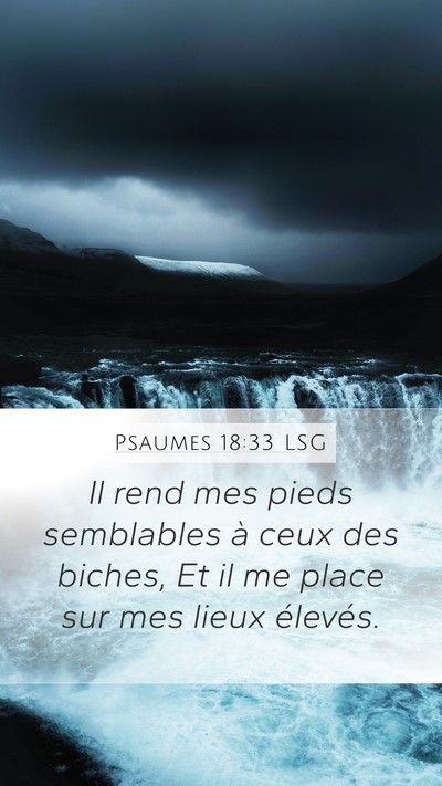 Psaumes 18:33 LSG Bible Verse Image