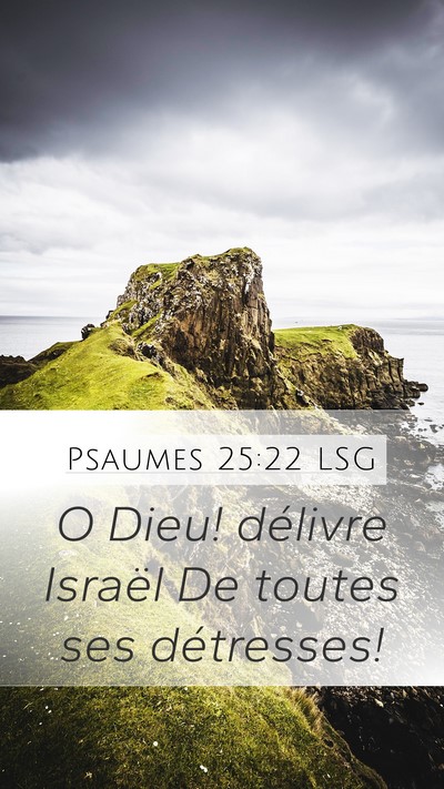 Psaumes 25:22 LSG Mobile Phone Wallpaper - O Dieu! délivre Israël De toutes ses - Mobile Bible Verse Wallpaper