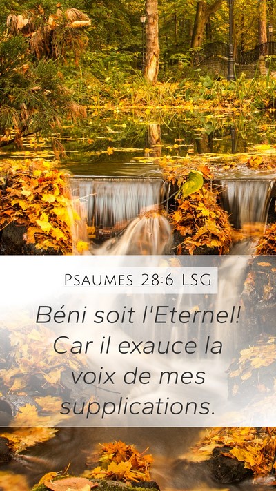 Psaumes 28:6 LSG Mobile Phone Wallpaper - Béni soit l'Eternel! Car il exauce la voix de - Mobile Bible Verse Wallpaper