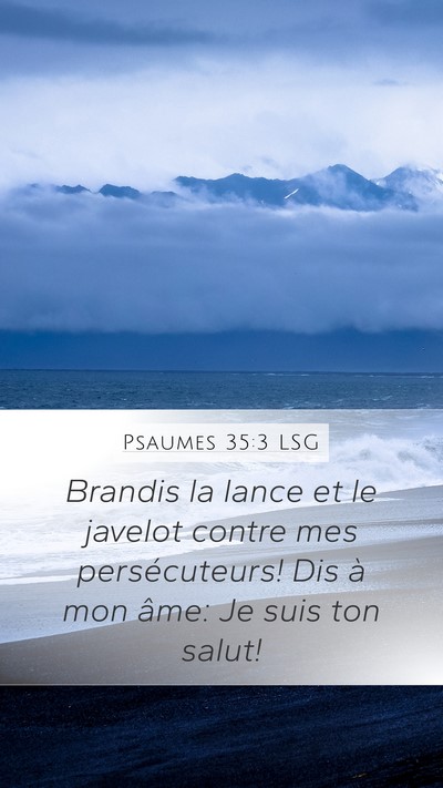 Psaumes 35:3 LSG Mobile Phone Wallpaper - Brandis la lance et le javelot contre mes - Mobile Bible Verse Wallpaper