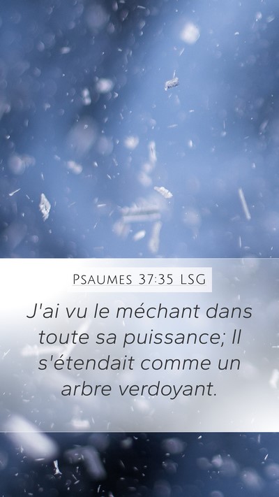 Psaumes 37:35 LSG Bible Verse Image