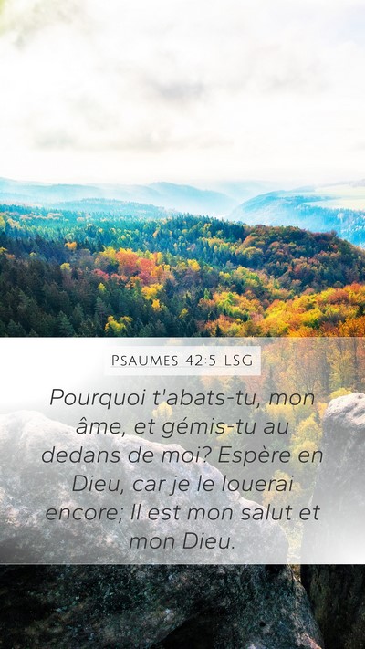 Psaumes 42:5 LSG Bible Verse Image