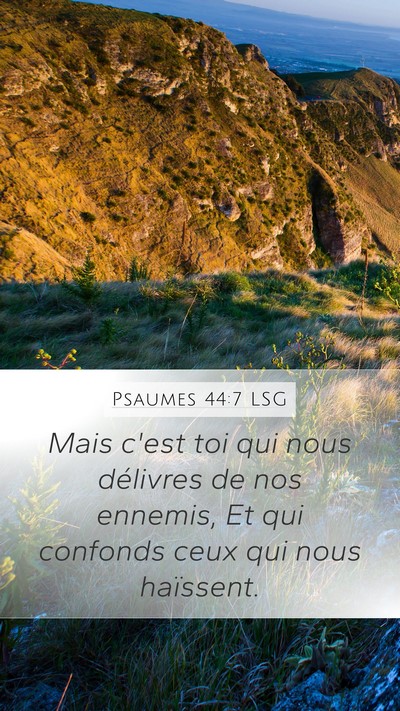 Psaumes 44:7 LSG Mobile Phone Wallpaper - Mais c'est toi qui nous délivres de nos ennemis, - Mobile Bible Verse Wallpaper