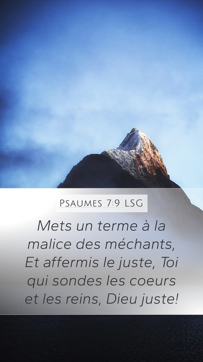 Psaumes 7:9 LSG Bible Verse Image