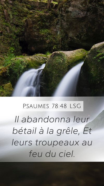 Psaumes 78:48 LSG Mobile Phone Wallpaper - Il abandonna leur bétail à la grêle, Et leurs - Mobile Bible Verse Wallpaper