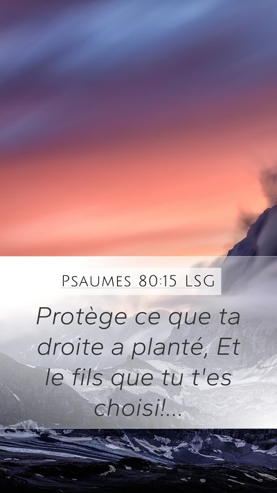 Psaumes 80:15 LSG Bible Verse Image