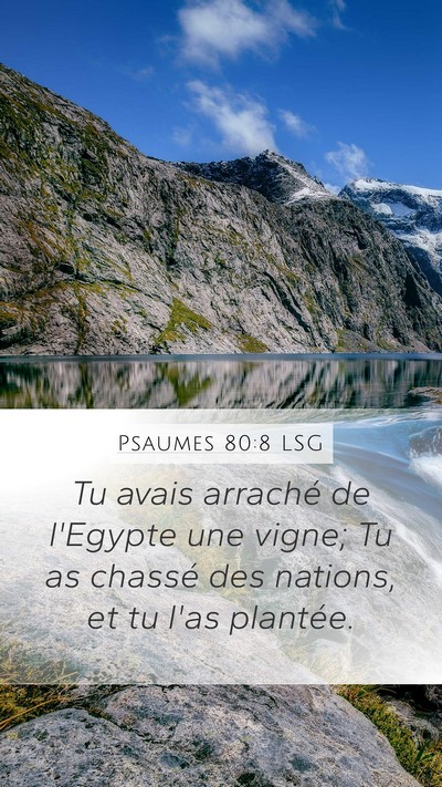 Psaumes 80:8 LSG Bible Verse Image