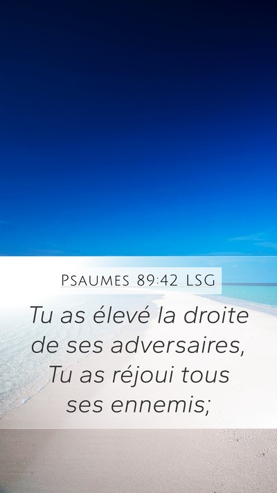 Psaumes 89:42 LSG Mobile Phone Wallpaper - Tu as élevé la droite de ses adversaires, Tu as - Mobile Bible Verse Wallpaper