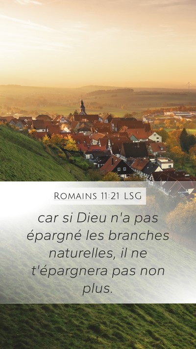 Romains 11:21 LSG Bible Verse Image