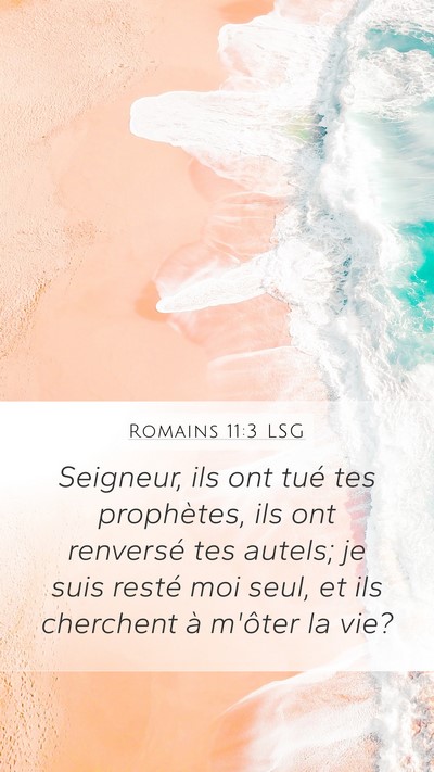 Romains 11:3 LSG Mobile Phone Wallpaper - Seigneur, ils ont tué tes prophètes, ils ont - Mobile Bible Verse Wallpaper