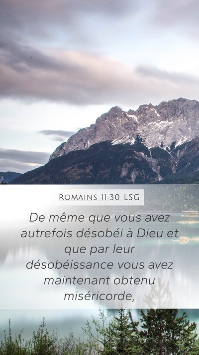 Romains 11:30 LSG Bible Verse Image