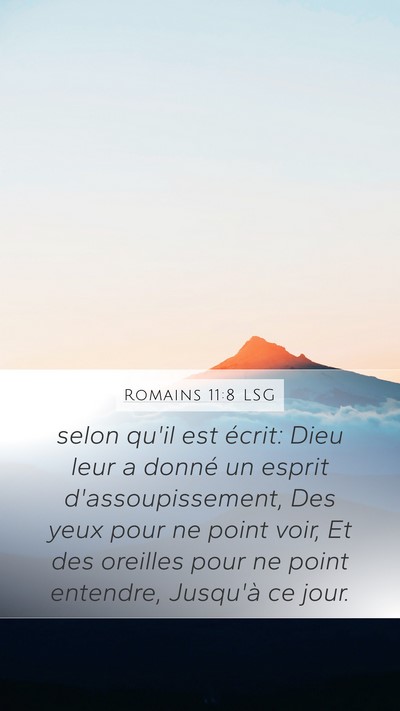 Romains 11:8 LSG Bible Verse Image