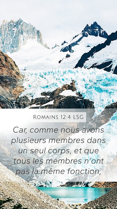 Romains 12:4 LSG Mobile Phone Wallpaper - Car, comme nous avons plusieurs membres dans un - Mobile Bible Verse Wallpaper