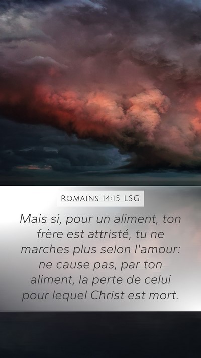 Romains 14:15 LSG Bible Verse Image