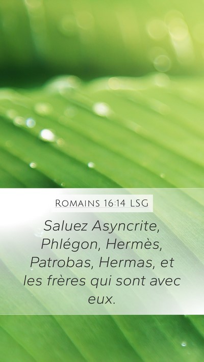 Romains 16:14 LSG Bible Verse Image
