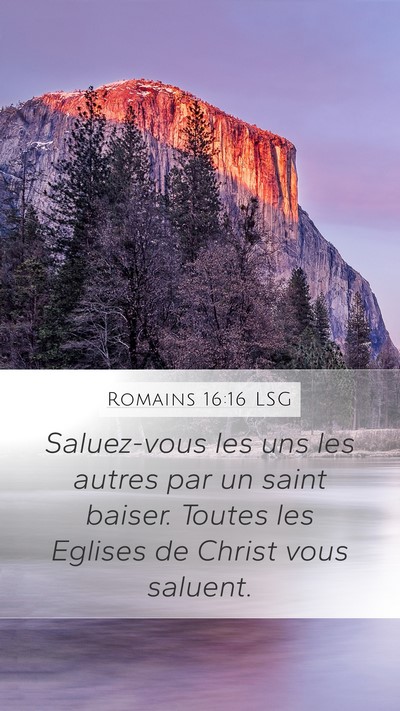 Romains 16:16 LSG Bible Verse Image