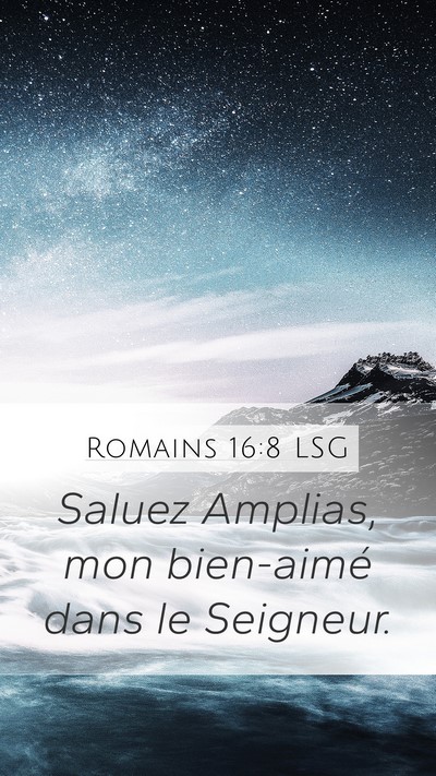 Romains 16:8 LSG Mobile Phone Wallpaper - Saluez Amplias, mon bien-aimé dans le - Mobile Bible Verse Wallpaper