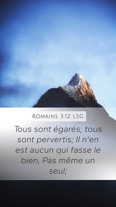 Romains 3:12 LSG Bible Verse Image