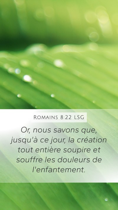 Romains 8:22 LSG Bible Verse Image