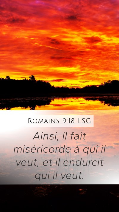 Romains 9:18 LSG Bible Verse Image