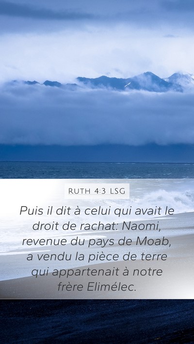 Ruth 4:3 LSG Bible Verse Image