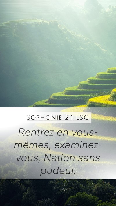 Sophonie 2:1 LSG Bible Verse Image