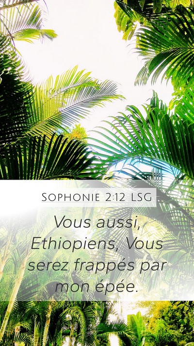Sophonie 2:12 LSG Bible Verse Image