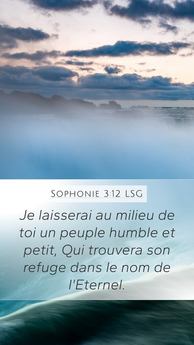 Sophonie 3:12 LSG Bible Verse Image