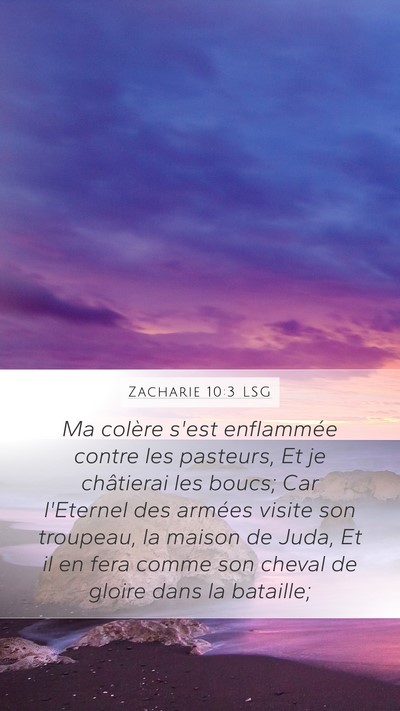 Zacharie 10:3 LSG Bible Verse Image