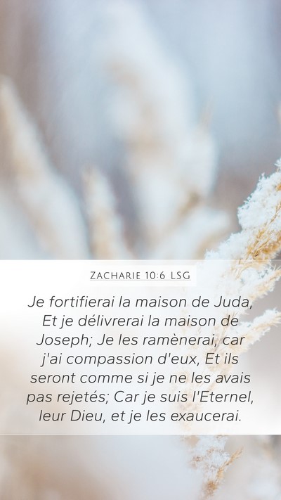 Zacharie 10:6 LSG Bible Verse Image