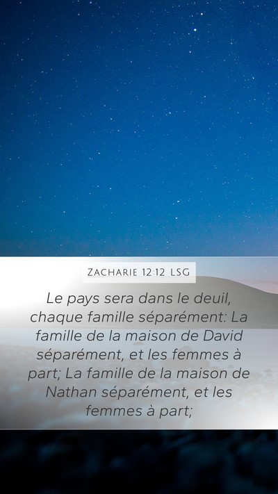 Zacharie 12:12 LSG Bible Verse Image