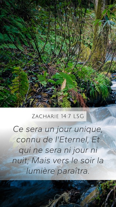 Zacharie 14:7 LSG Bible Verse Image