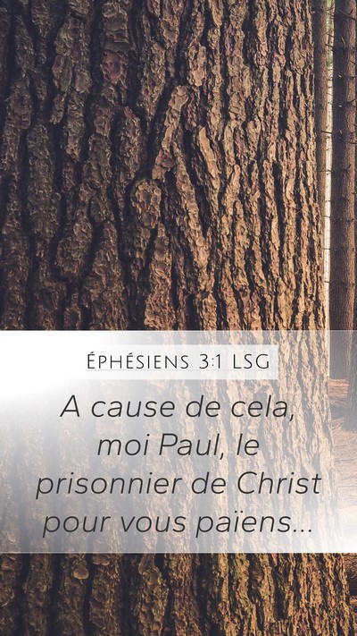 Éphésiens 3:1 LSG Bible Verse Image