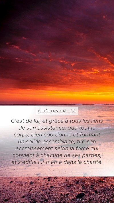 Éphésiens 4:16 LSG Bible Verse Image