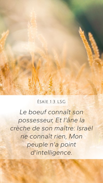 Ésaïe 1:3 LSG Bible Verse Image