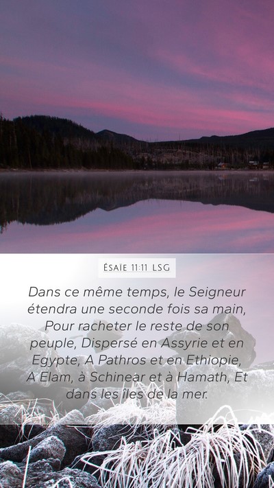 Ésaïe 11:11 LSG Bible Verse Image